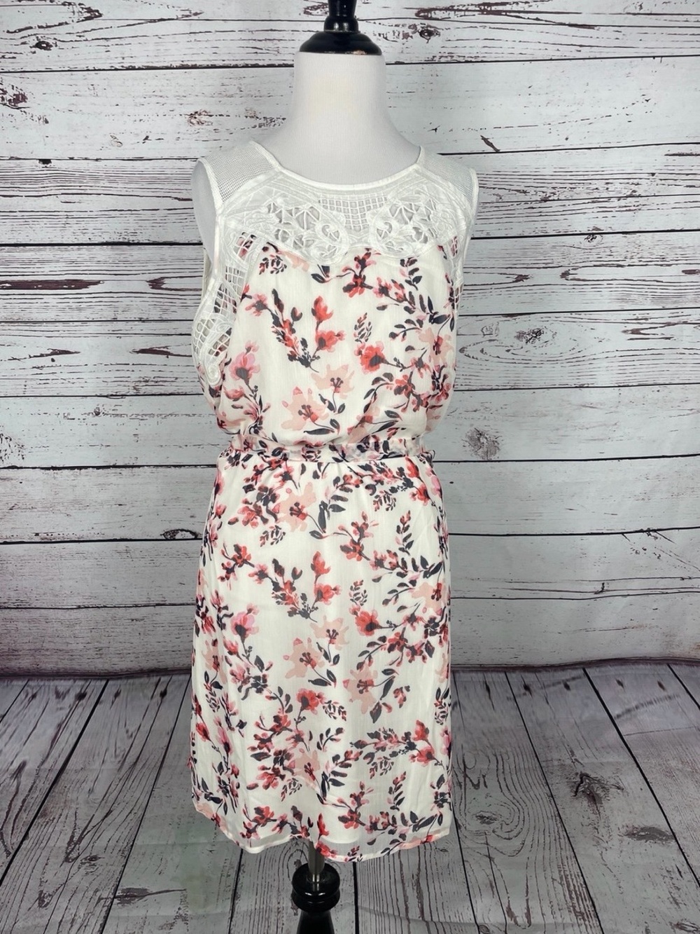 Daniel Rainn Floral Lace Overlay Sleeveless Dress Women Large Cottagecore Boho